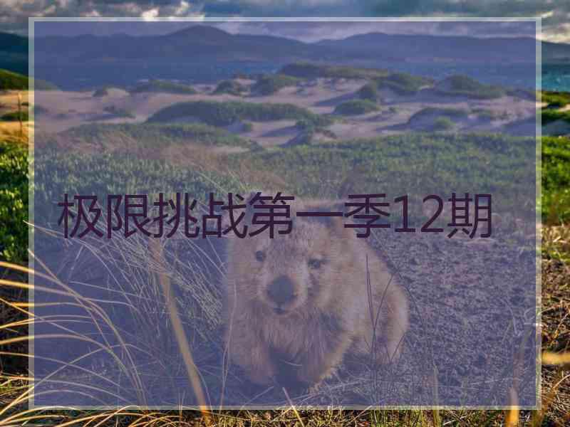 极限挑战第一季12期