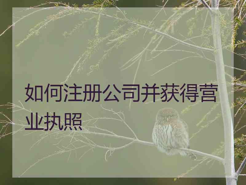 如何注册公司并获得营业执照