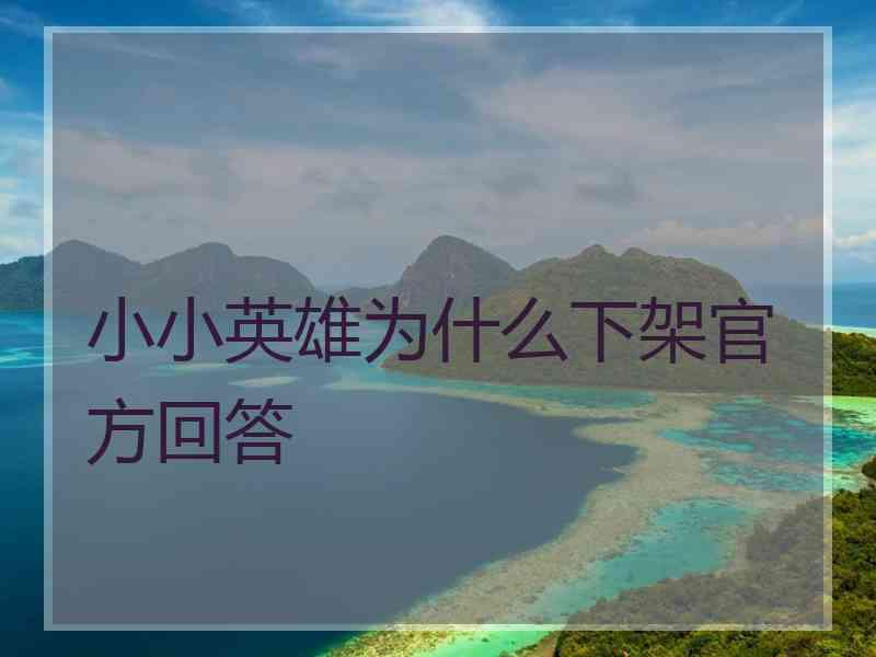 小小英雄为什么下架官方回答