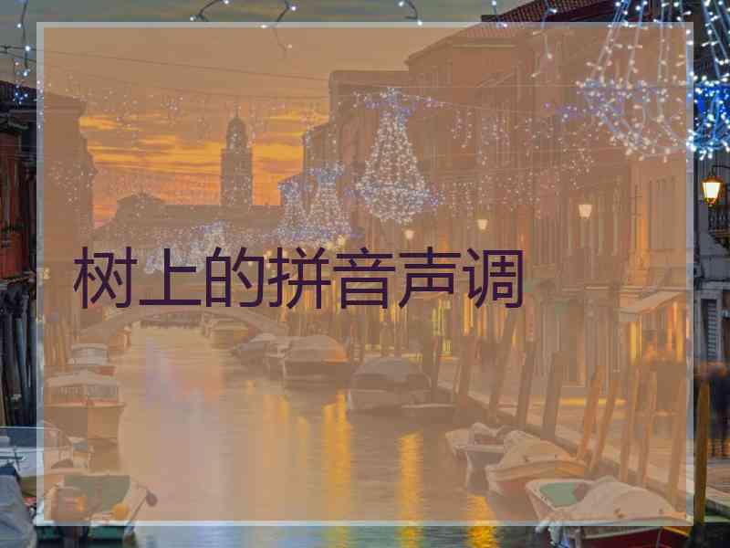 树上的拼音声调