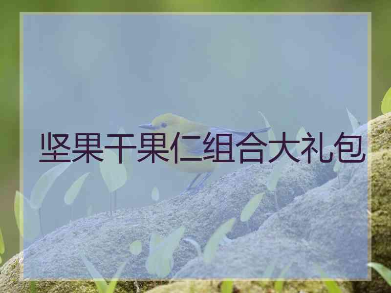 坚果干果仁组合大礼包