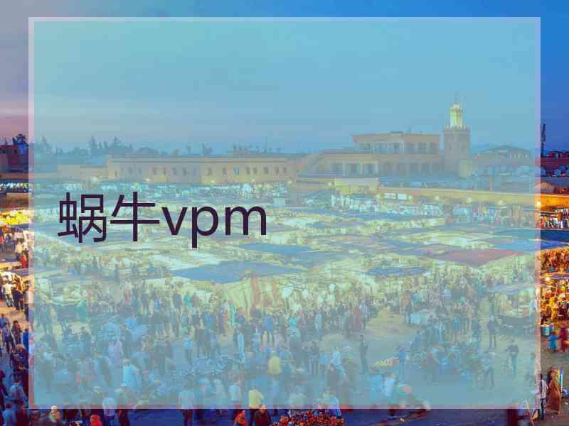 蜗牛vpm