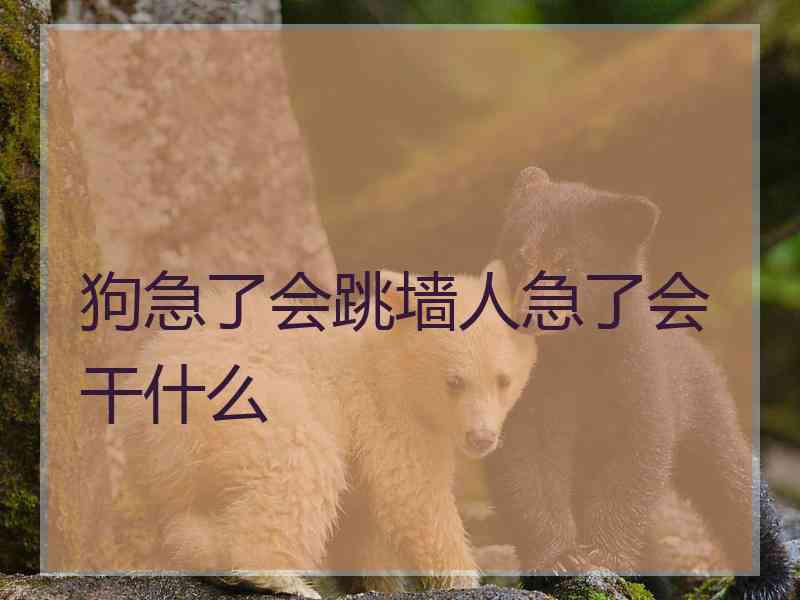 狗急了会跳墙人急了会干什么