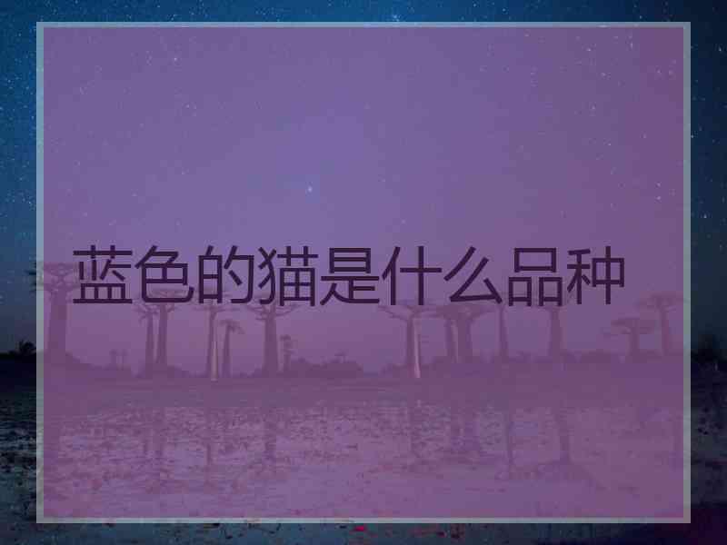 蓝色的猫是什么品种