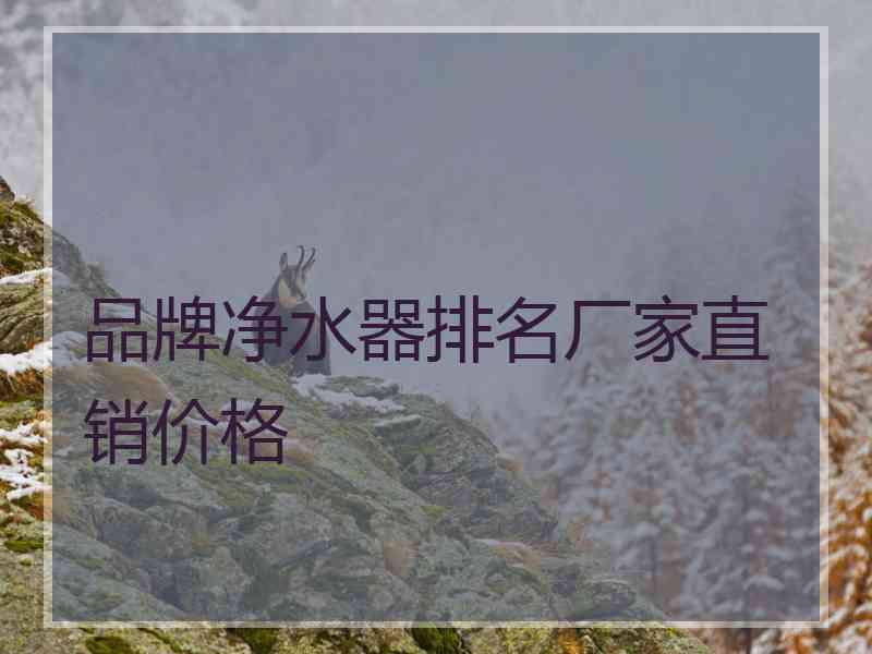 品牌净水器排名厂家直销价格