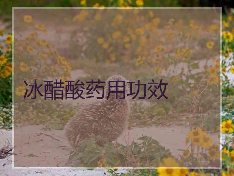 冰醋酸药用功效