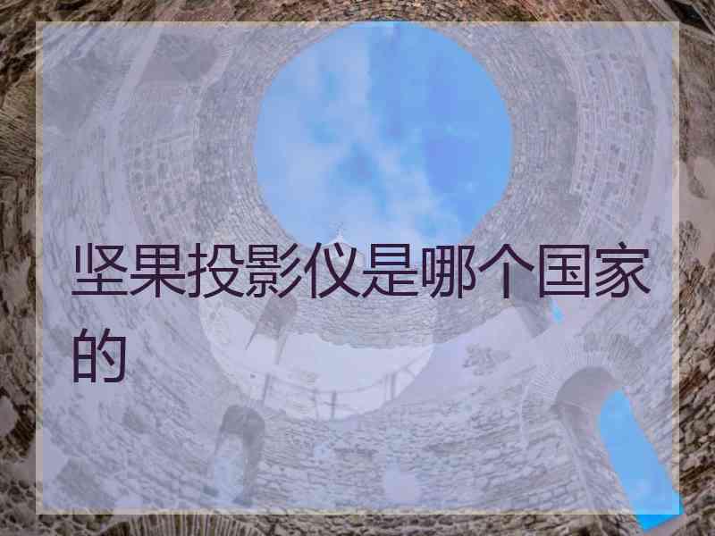 坚果投影仪是哪个国家的