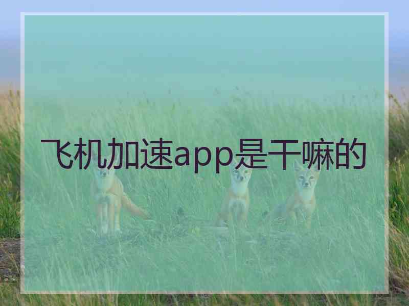 飞机加速app是干嘛的