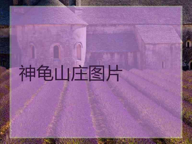 神龟山庄图片