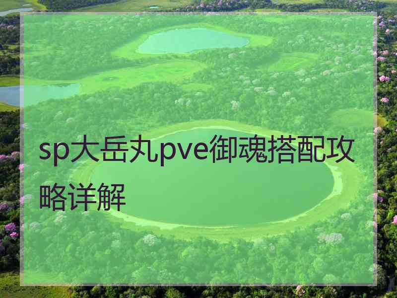 sp大岳丸pve御魂搭配攻略详解