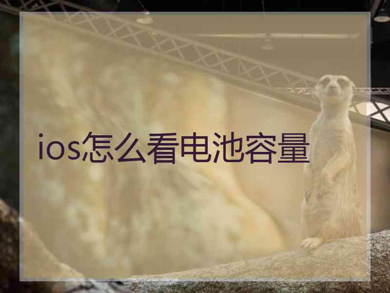ios怎么看电池容量