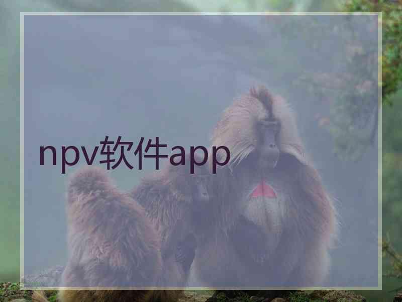 npv软件app