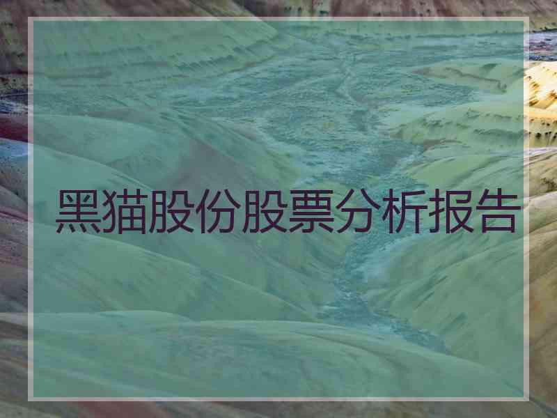 黑猫股份股票分析报告