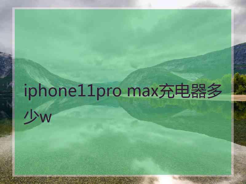 iphone11pro max充电器多少w