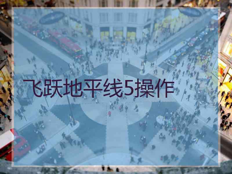 飞跃地平线5操作