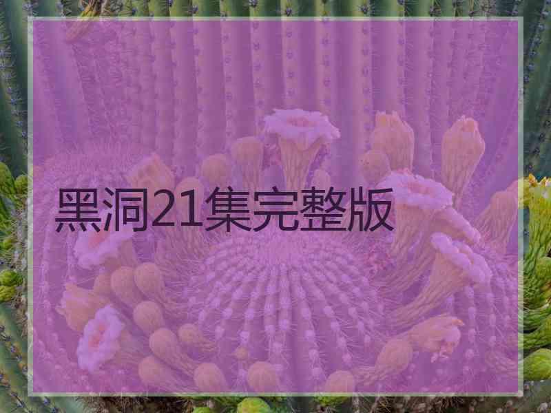 黑洞21集完整版