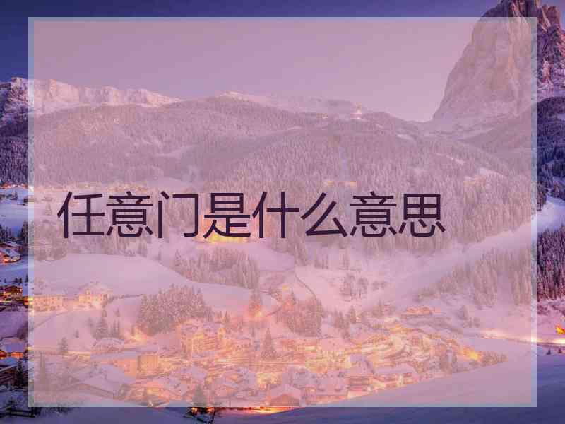 任意门是什么意思