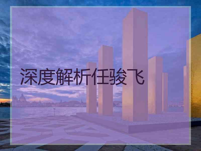 深度解析任骏飞