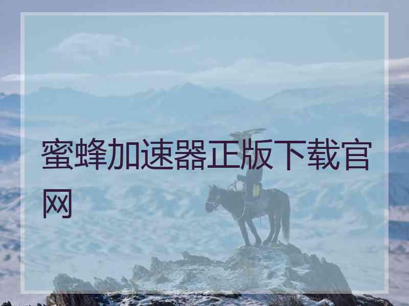 蜜蜂加速器正版下载官网