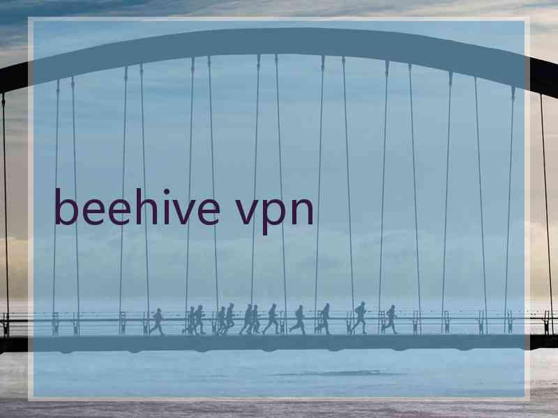 beehive vpn