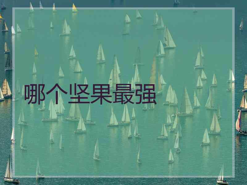 哪个坚果最强