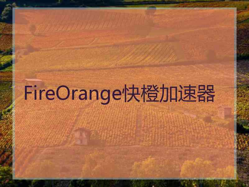 FireOrange快橙加速器