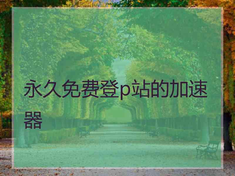 永久免费登p站的加速器