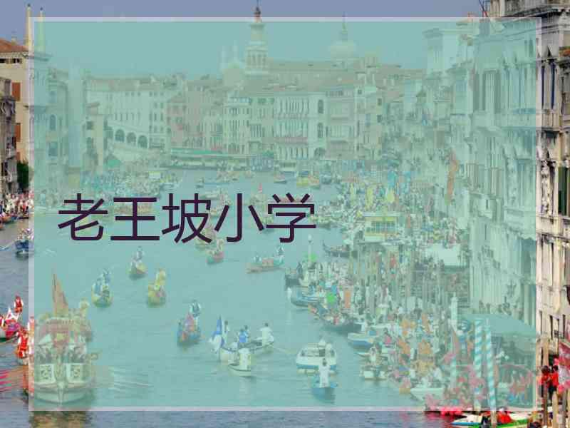 老王坡小学