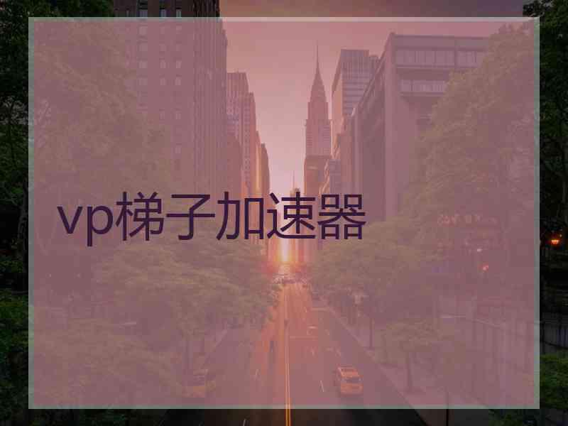 vp梯子加速器