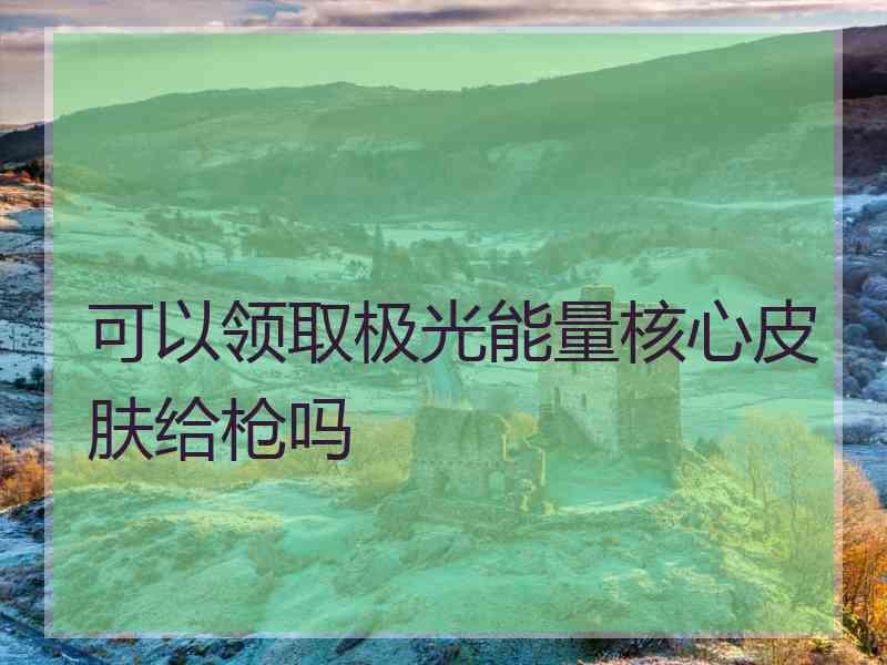 可以领取极光能量核心皮肤给枪吗