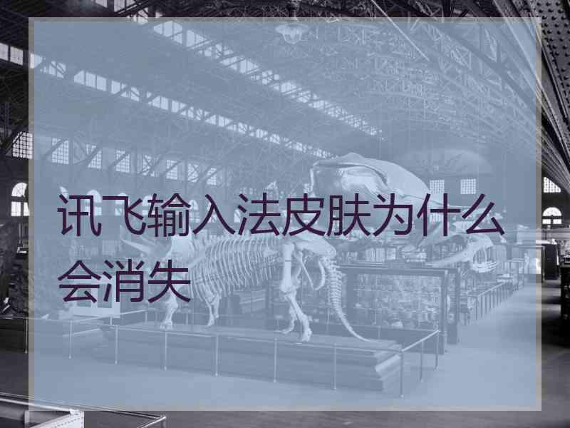 讯飞输入法皮肤为什么会消失