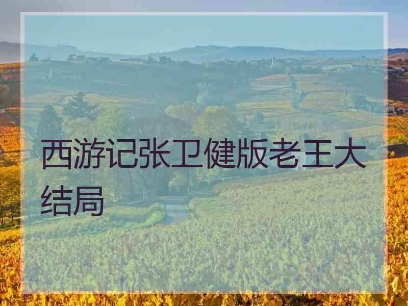 西游记张卫健版老王大结局