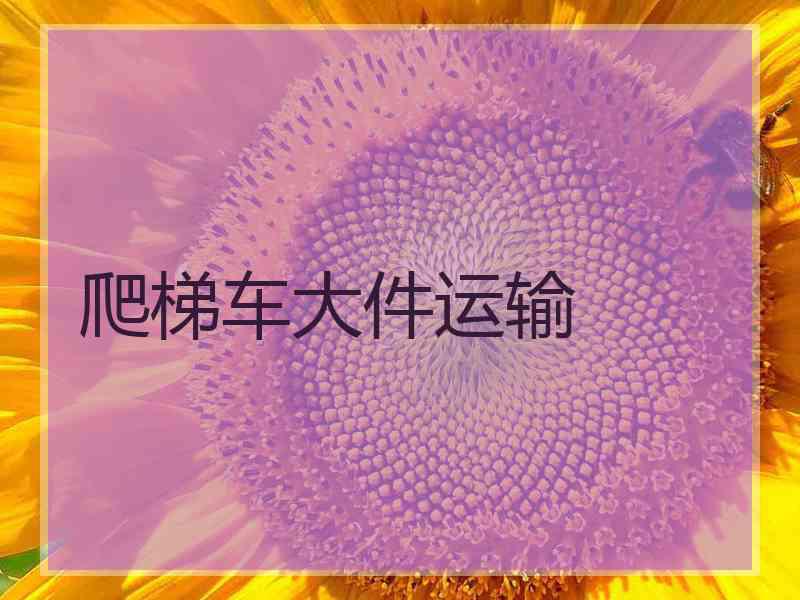 爬梯车大件运输
