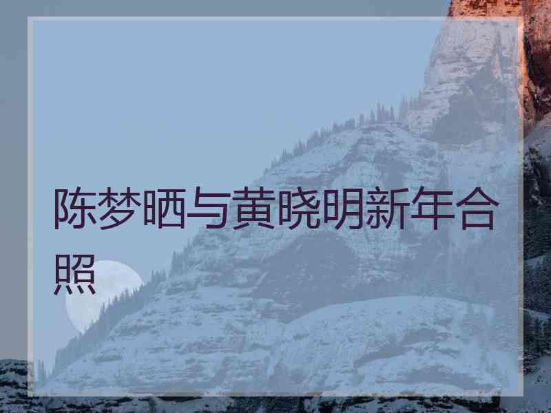 陈梦晒与黄晓明新年合照