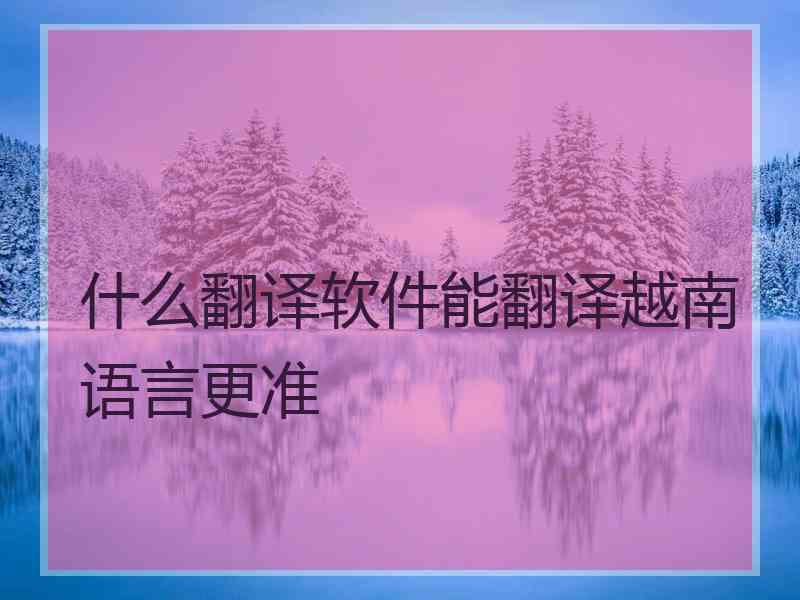 什么翻译软件能翻译越南语言更准