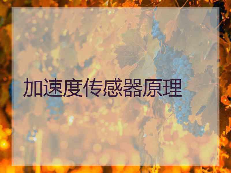 加速度传感器原理
