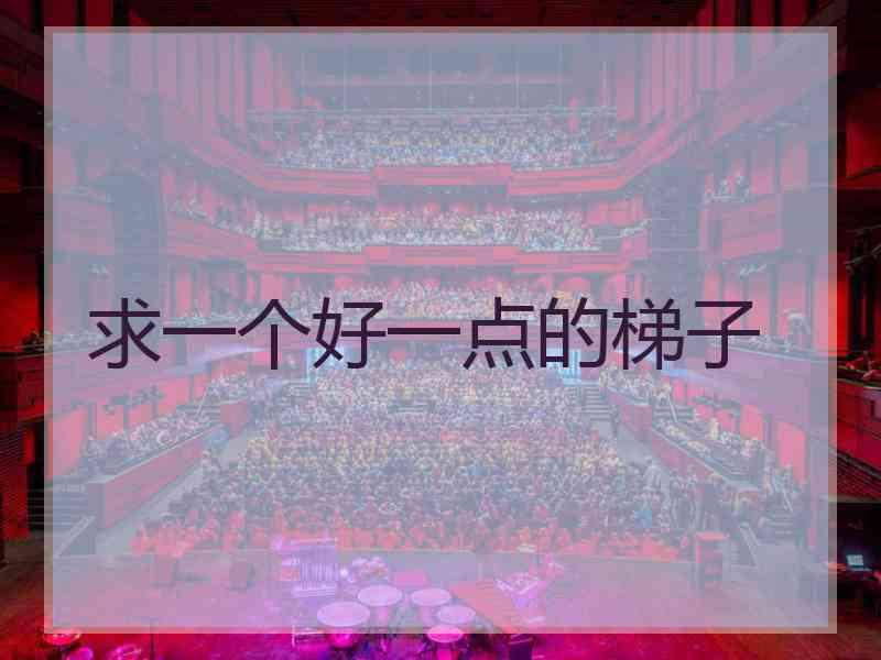 求一个好一点的梯子