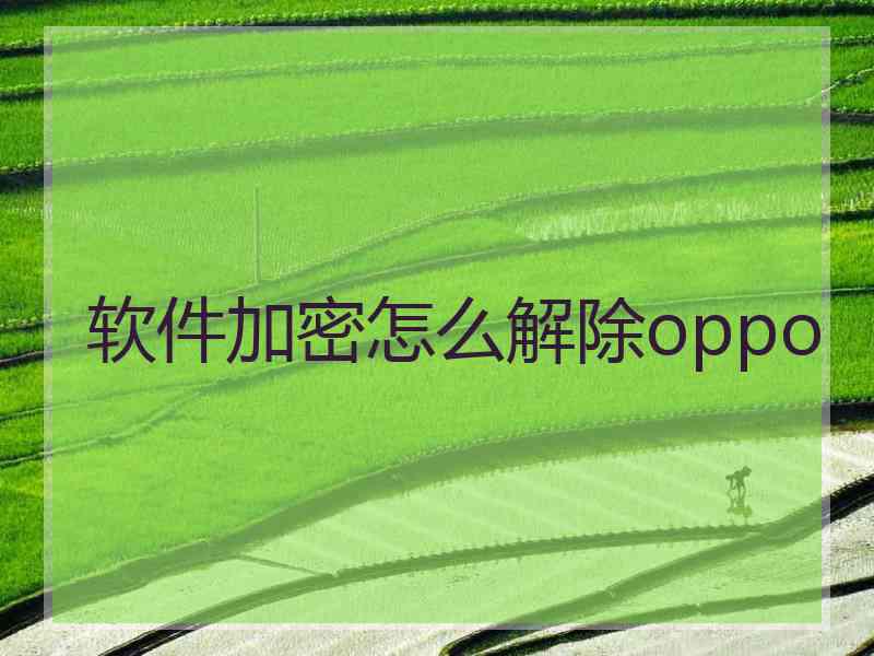 软件加密怎么解除oppo