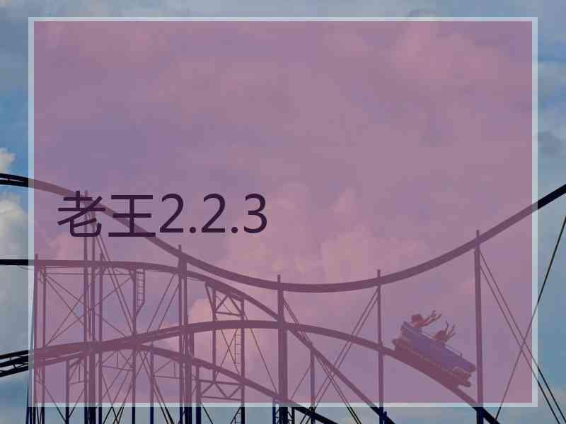 老王2.2.3