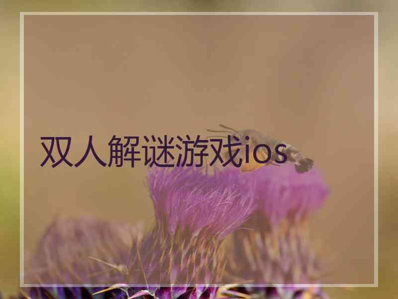 双人解谜游戏ios