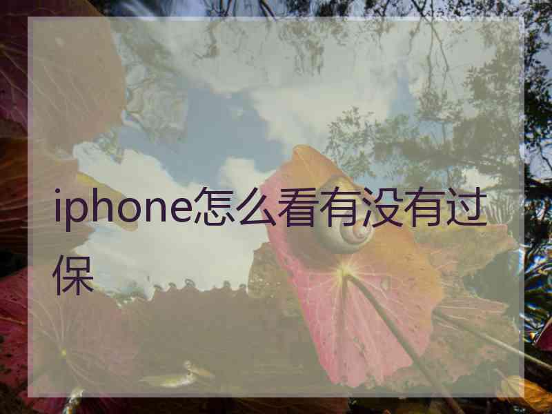 iphone怎么看有没有过保