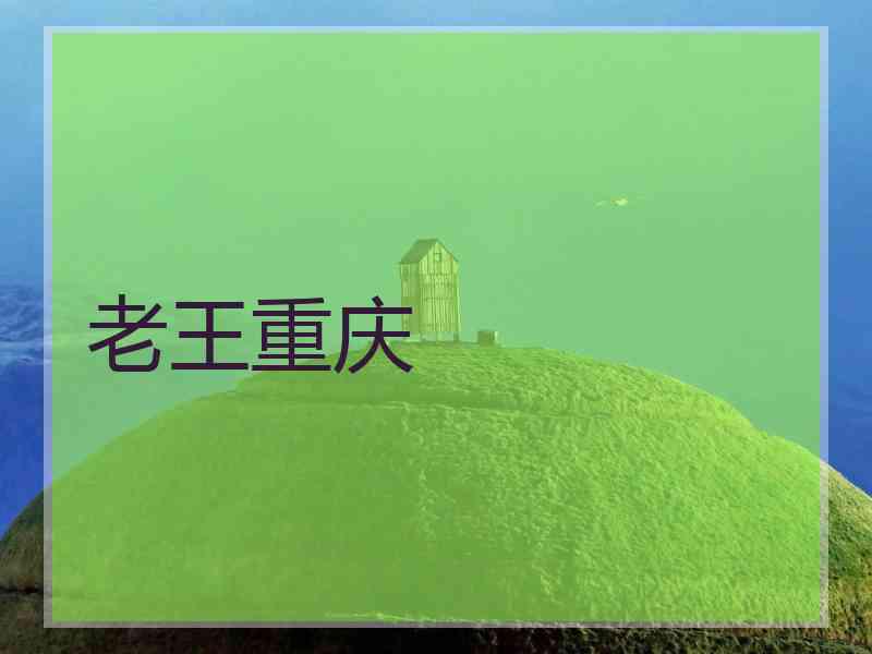 老王重庆