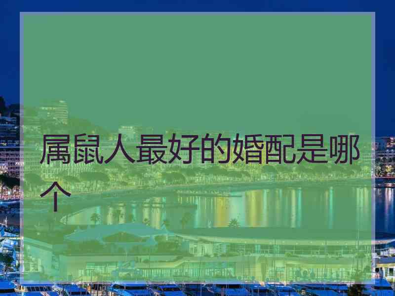 属鼠人最好的婚配是哪个
