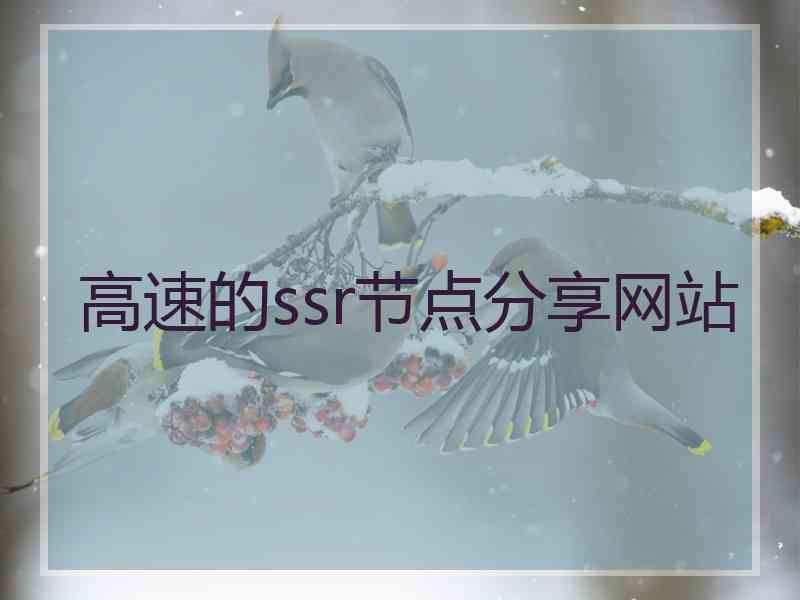 高速的ssr节点分享网站