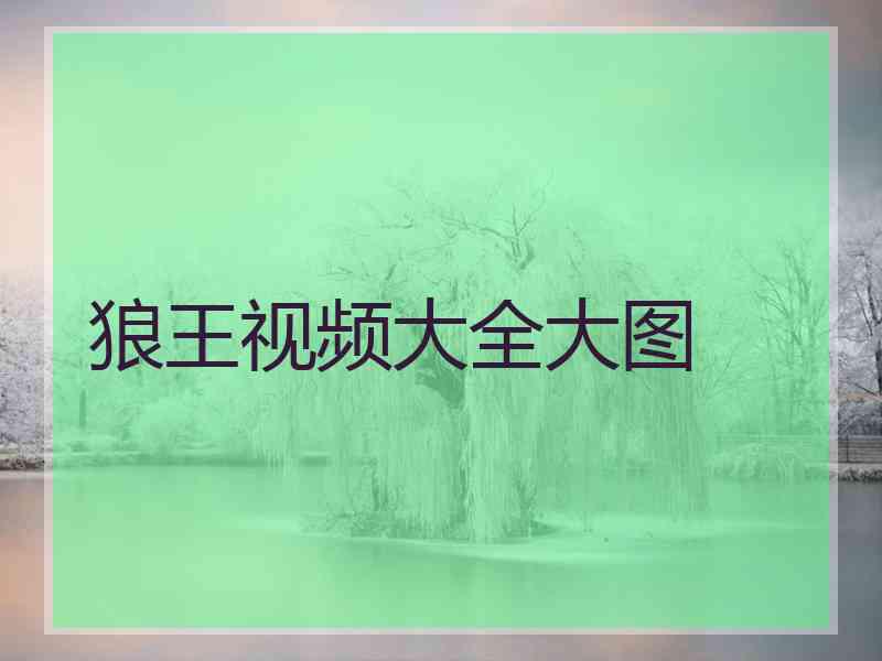 狼王视频大全大图