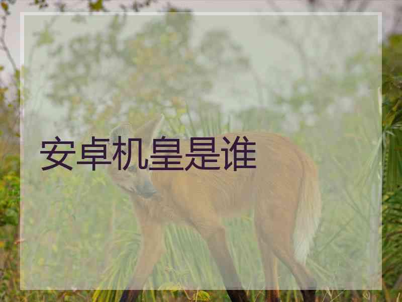 安卓机皇是谁
