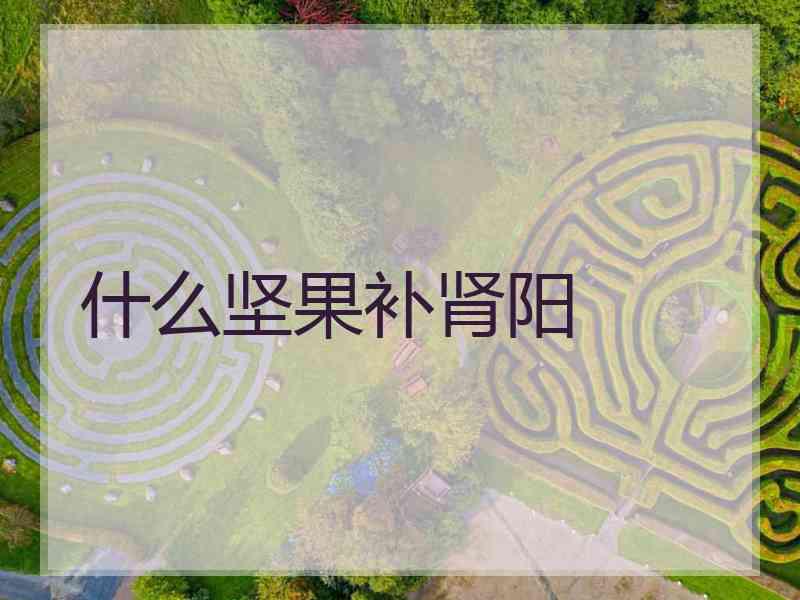 什么坚果补肾阳