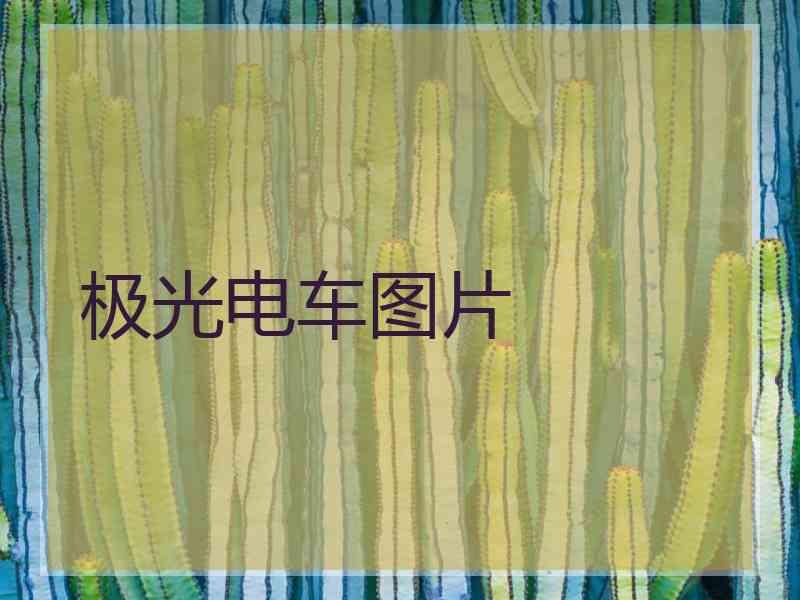 极光电车图片