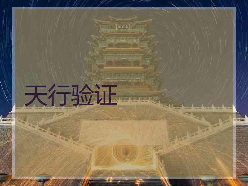 天行验证