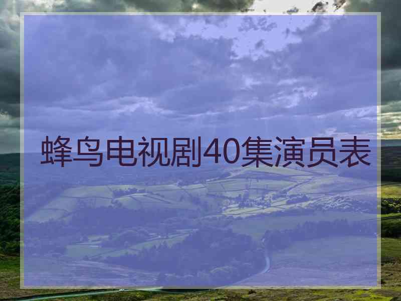 蜂鸟电视剧40集演员表